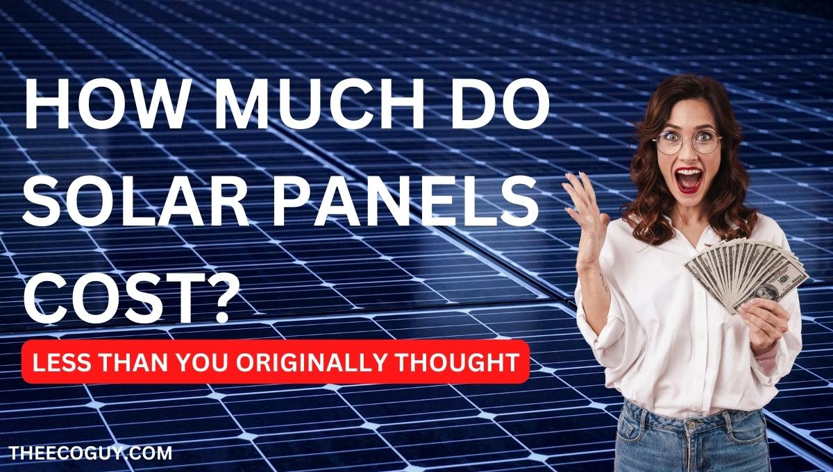 How Much Do Solar Panels Cost? (Less Than You Thought) – The Eco Guy