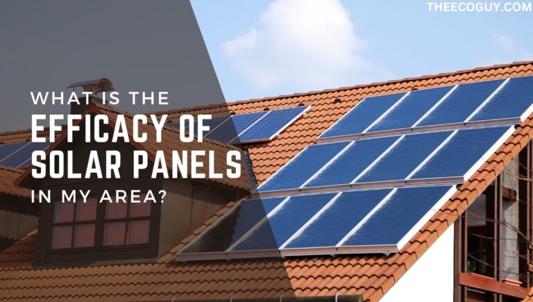 What Is the Efficacy of Solar Panels in My Area?